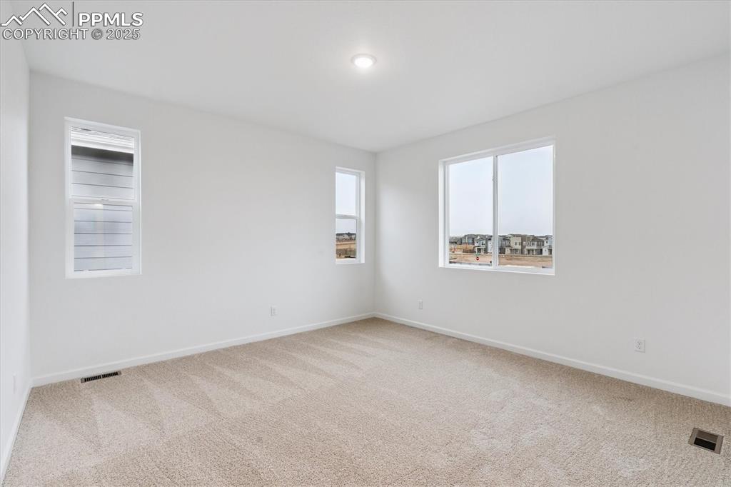 Image 14 of 20: Other