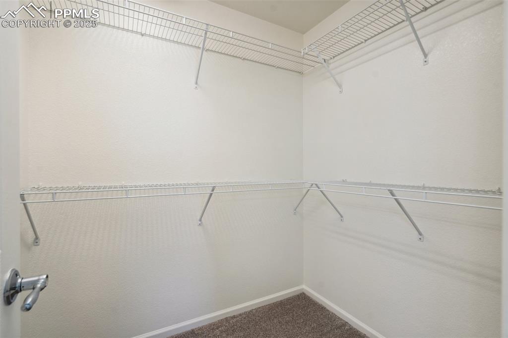 Image 23 of 28: Walk in closet featuring carpet flooring