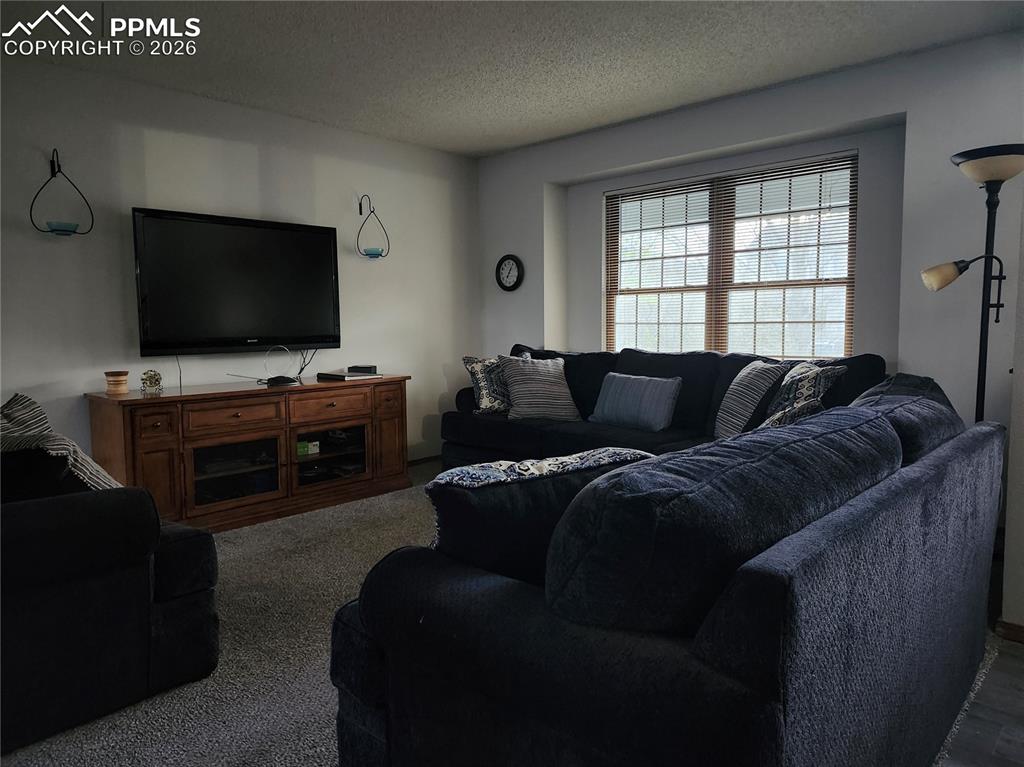 Image 4 of 19: Living Room