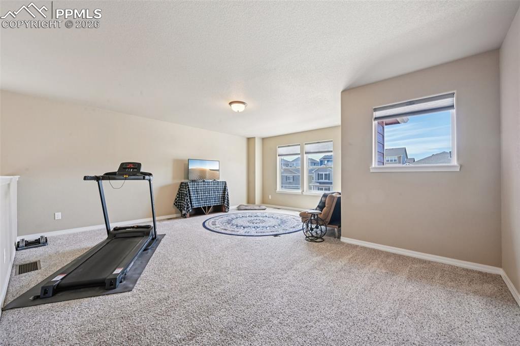 Image 24 of 41: Loft