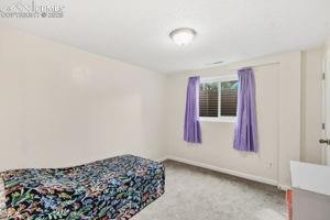 Image 19 of 26: Additional view of 3rd bedroom with carpet and walkin closet
