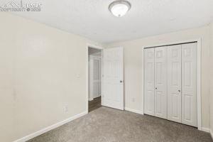 Image 20 of 26: Bedroom 4 located in basement with carpet flooring and large closet