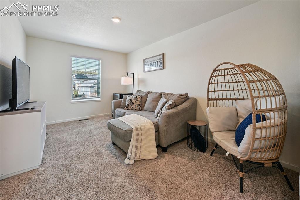 Image 20 of 32: Carpeted living room with baseboards