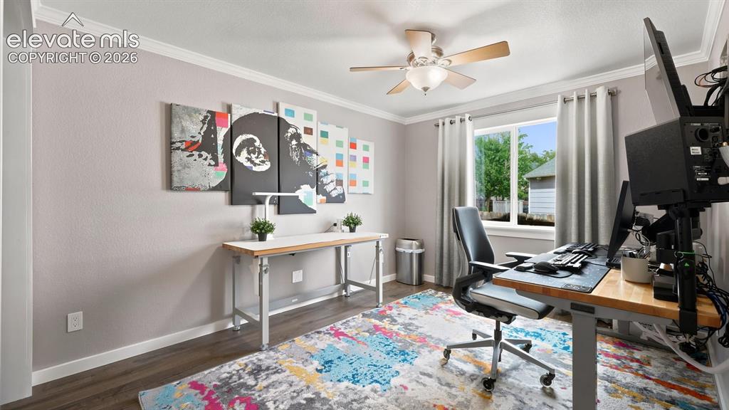 Image 17 of 46: Main Level Bedroom with neutral carpet, a lighted ceiling fan, and window w