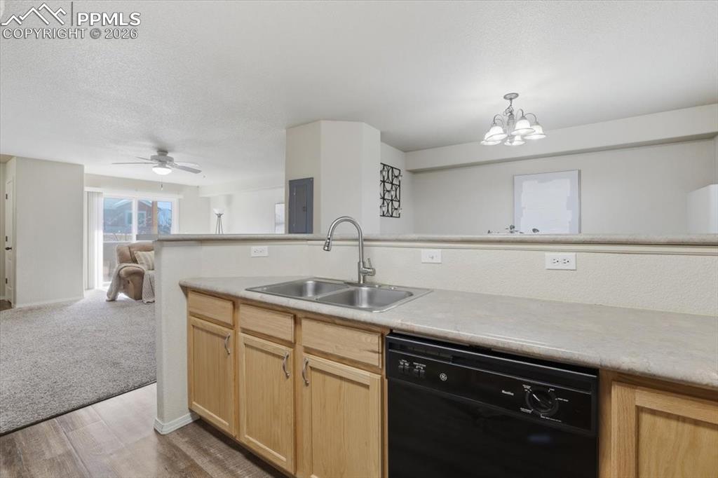 Image 12 of 48: No Description Available