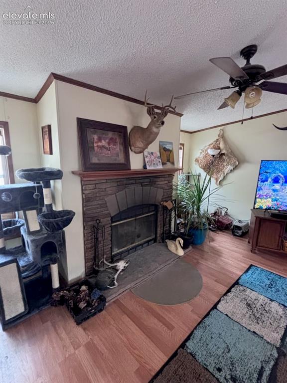 Image 3 of 19: Living Room