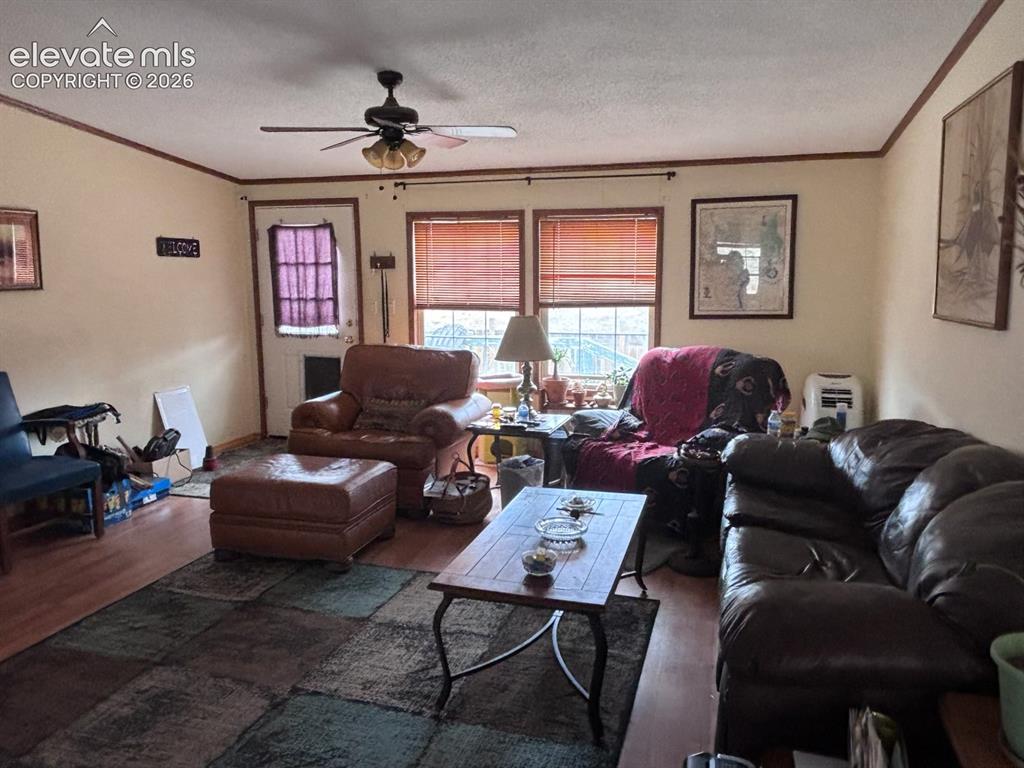 Image 4 of 19: Living Room