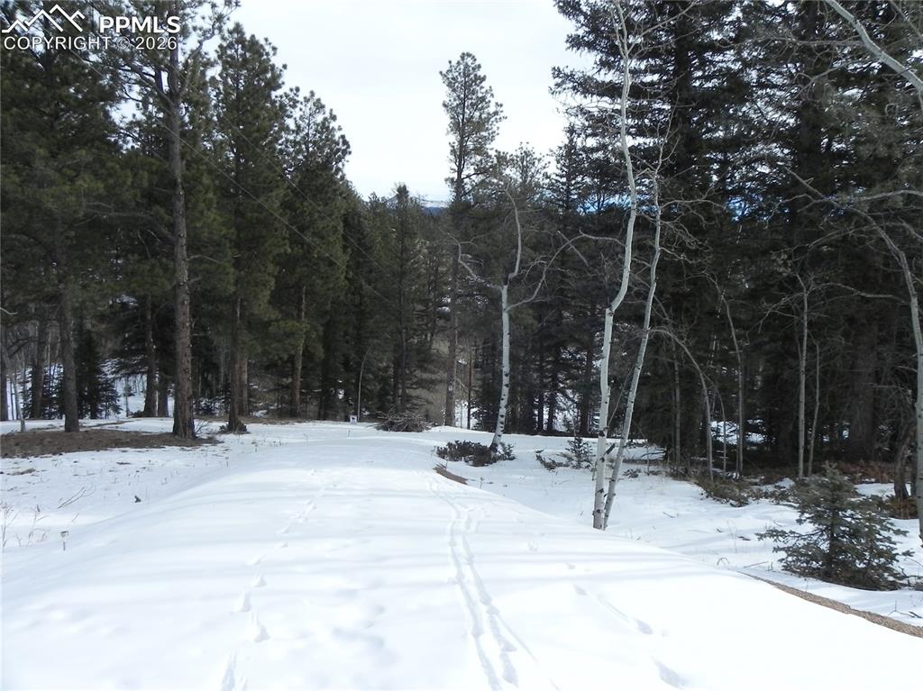 Image 13 of 15: Other