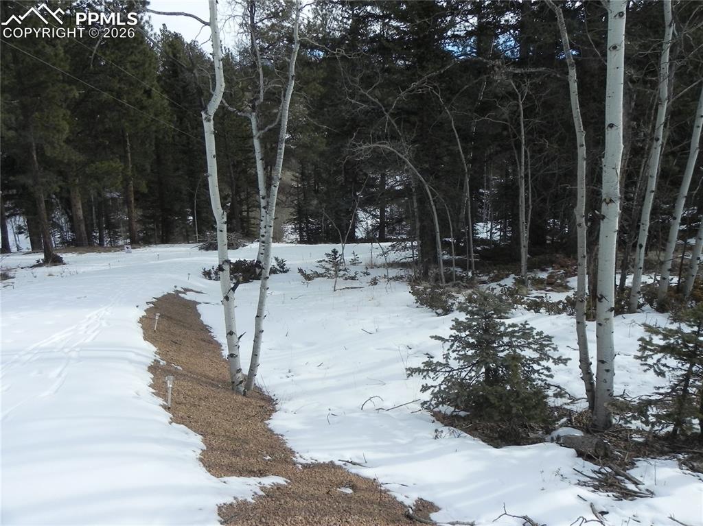 Image 14 of 15: Other