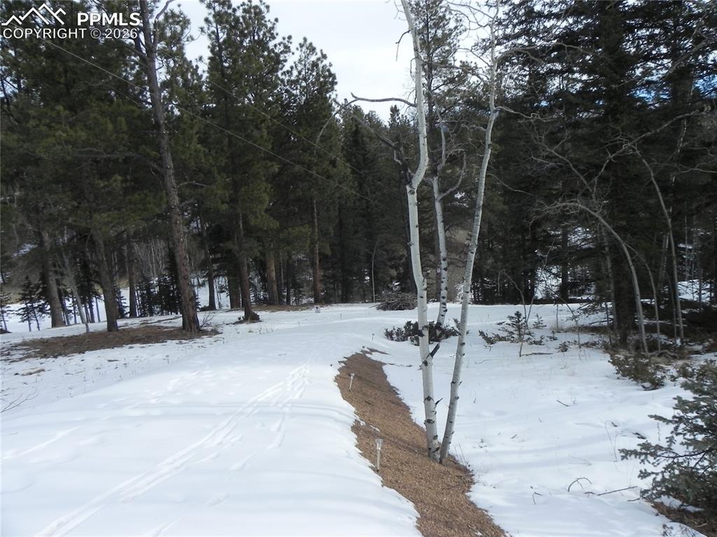 Image 15 of 15: Other