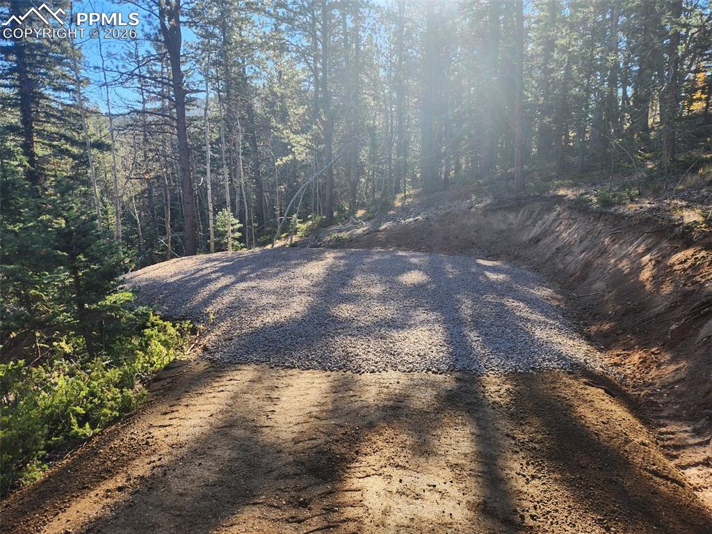 Image 3 of 15: Driveway