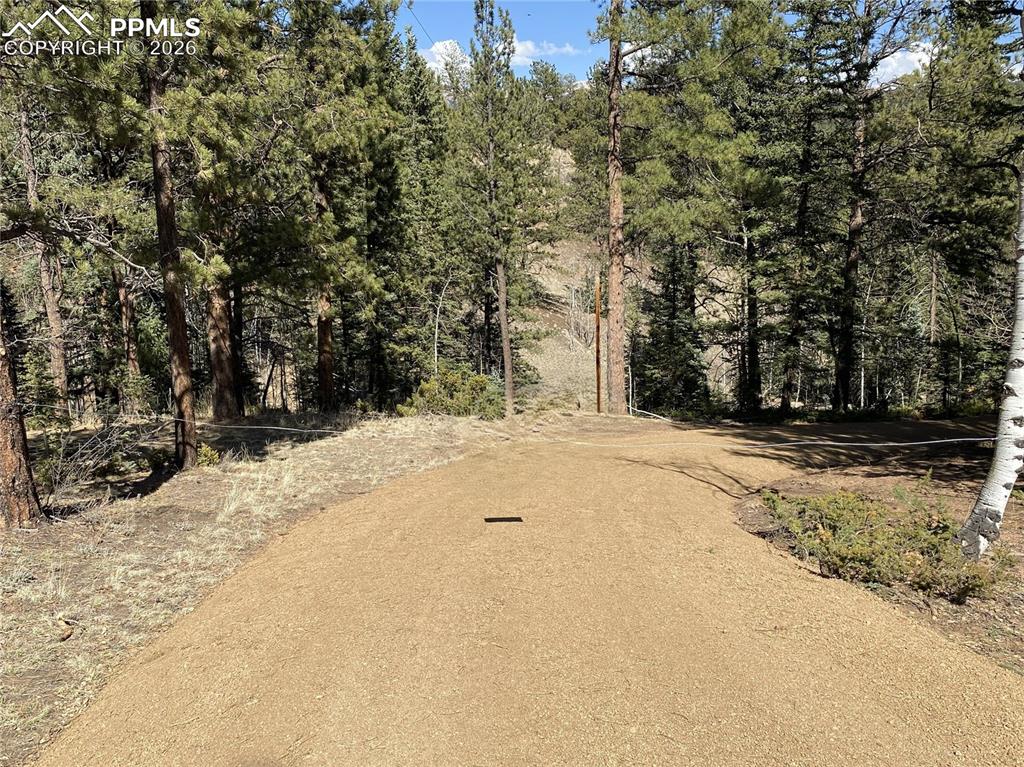 Image 7 of 15: Other