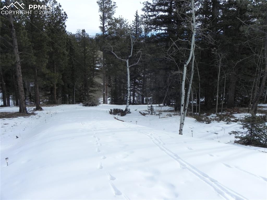 Image 9 of 15: Other