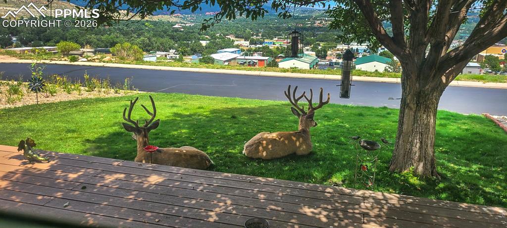 Image 47 of 48: Yard