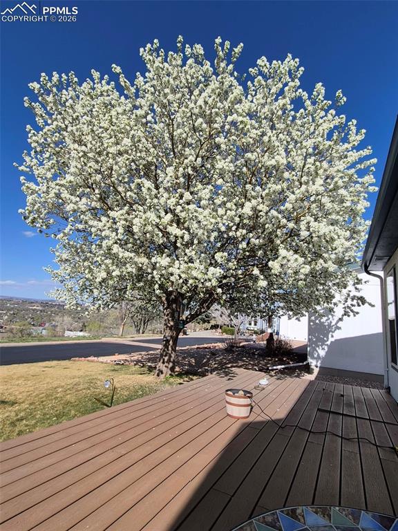 Image 48 of 48: Deck