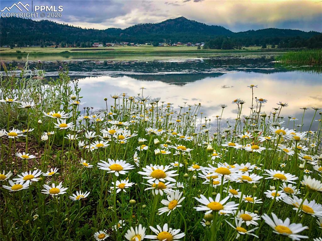 Image 20 of 50: View