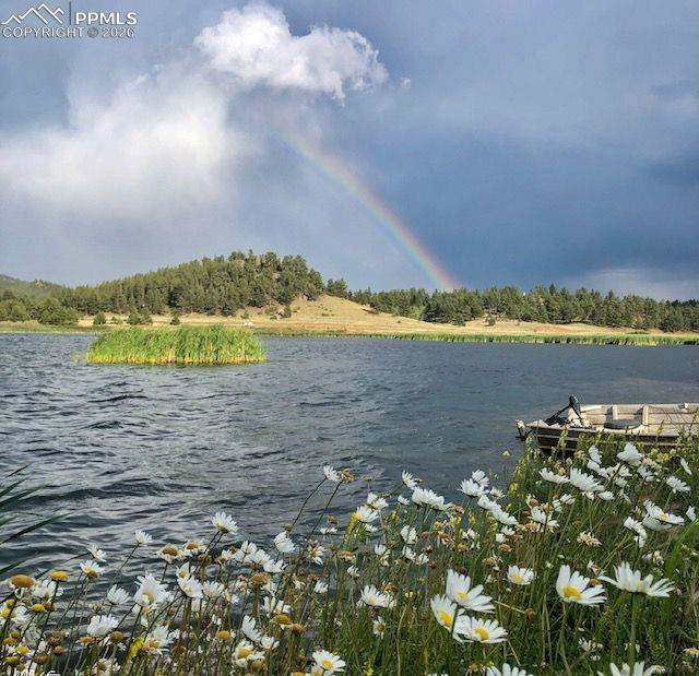 Image 21 of 50: View