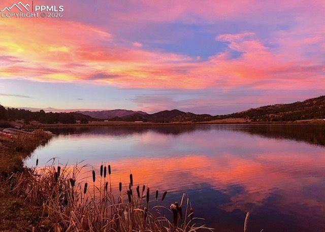 Image 25 of 50: View