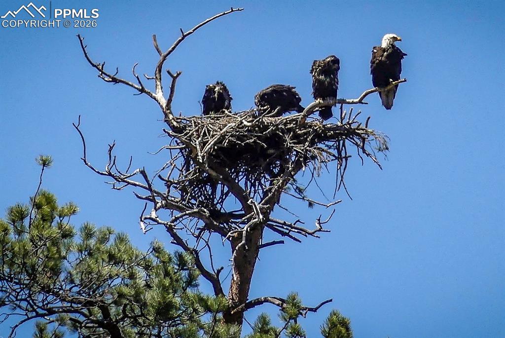 Image 34 of 50: Other