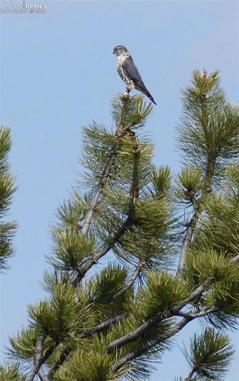 Image 41 of 50: Other