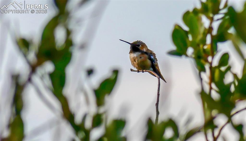 Image 42 of 50: Other