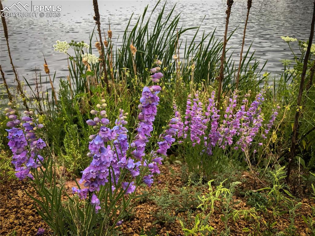 Image 49 of 50: Other