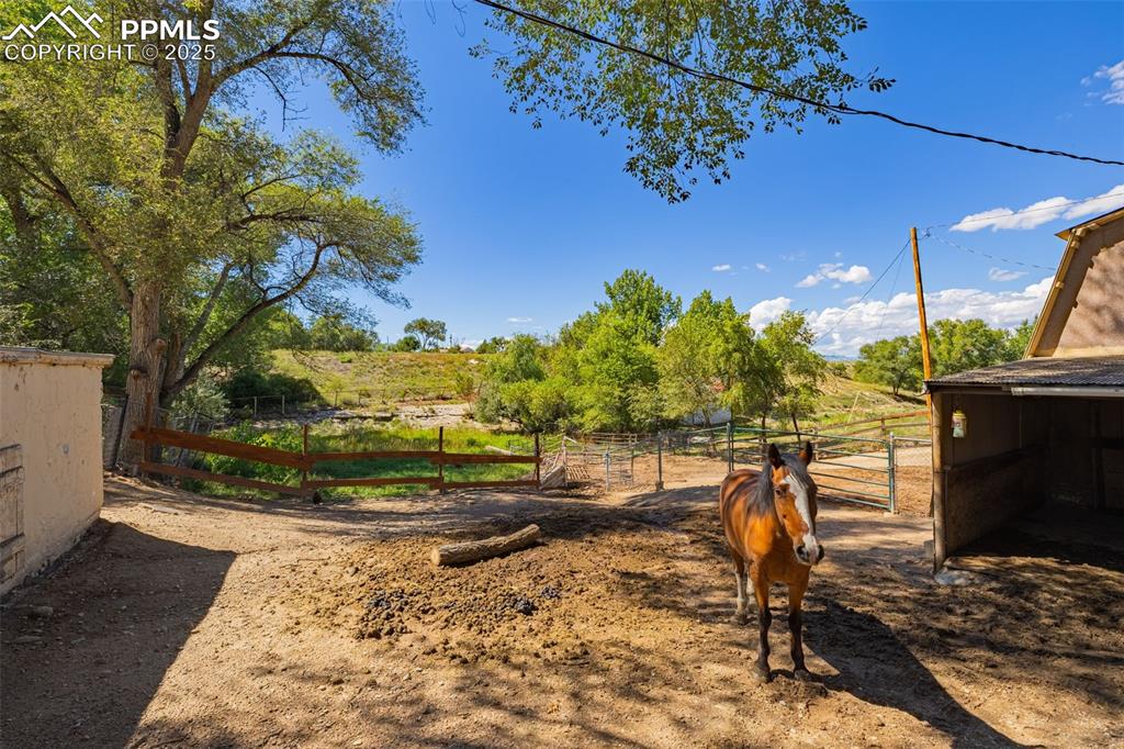 Image 26 of 35: Yard
