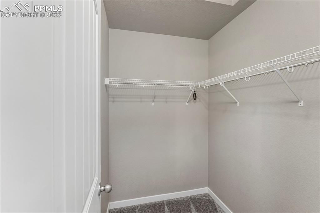 Image 21 of 29: Walk in closet featuring carpet flooring