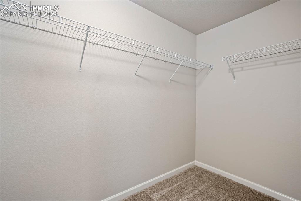 Image 32 of 45: Walk in closet featuring carpet