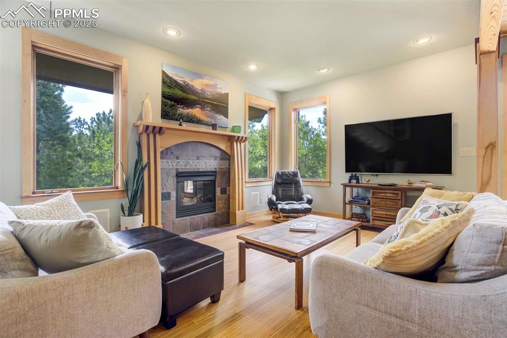 Image 11 of 50: Living room featuring healthy amount of natural light, bamboo floors, a til