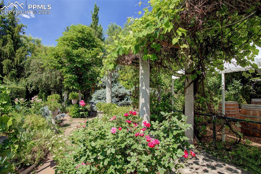 Image 4 of 45: Secret Garden: Wine Vineyard