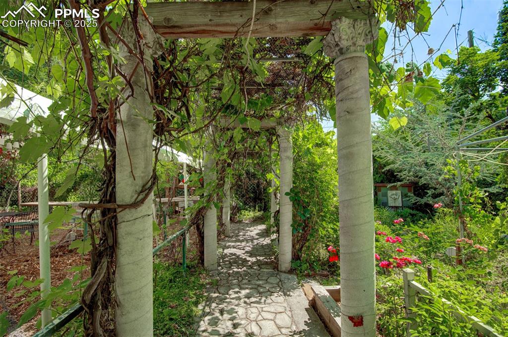 Image 5 of 45: Secret Garden: Wine Vineyard
