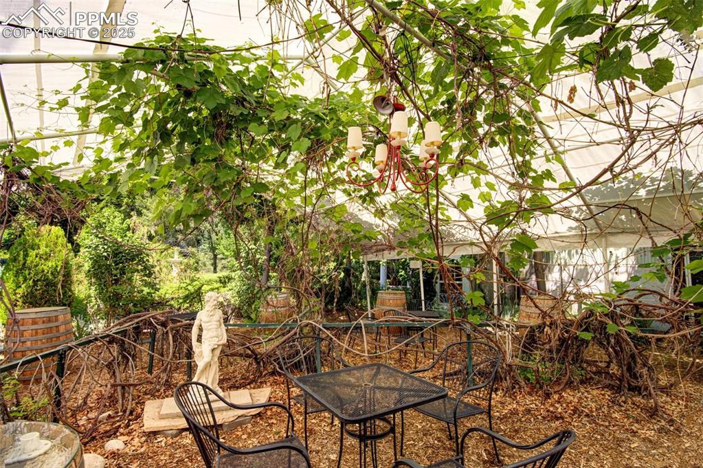 Image 6 of 45: Secret Garden: Wine Vineyard