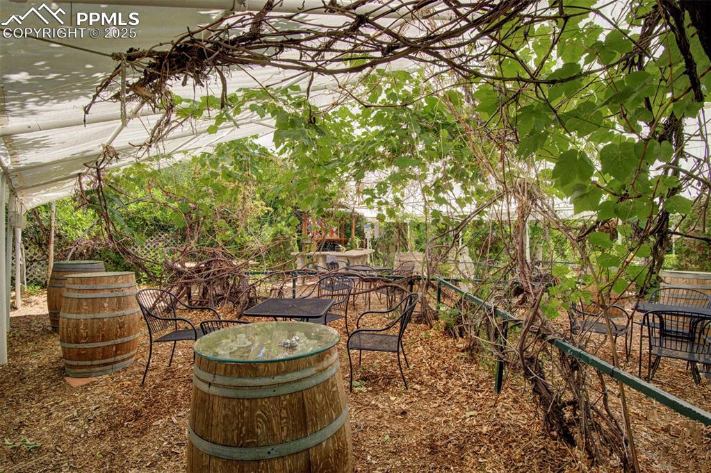 Image 7 of 45: Secret Garden: Wine Vineyard