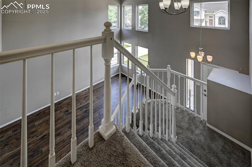 Image 18 of 50: Other