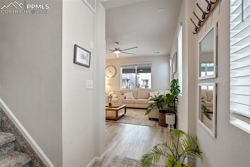 Image 22 of 50: Entry