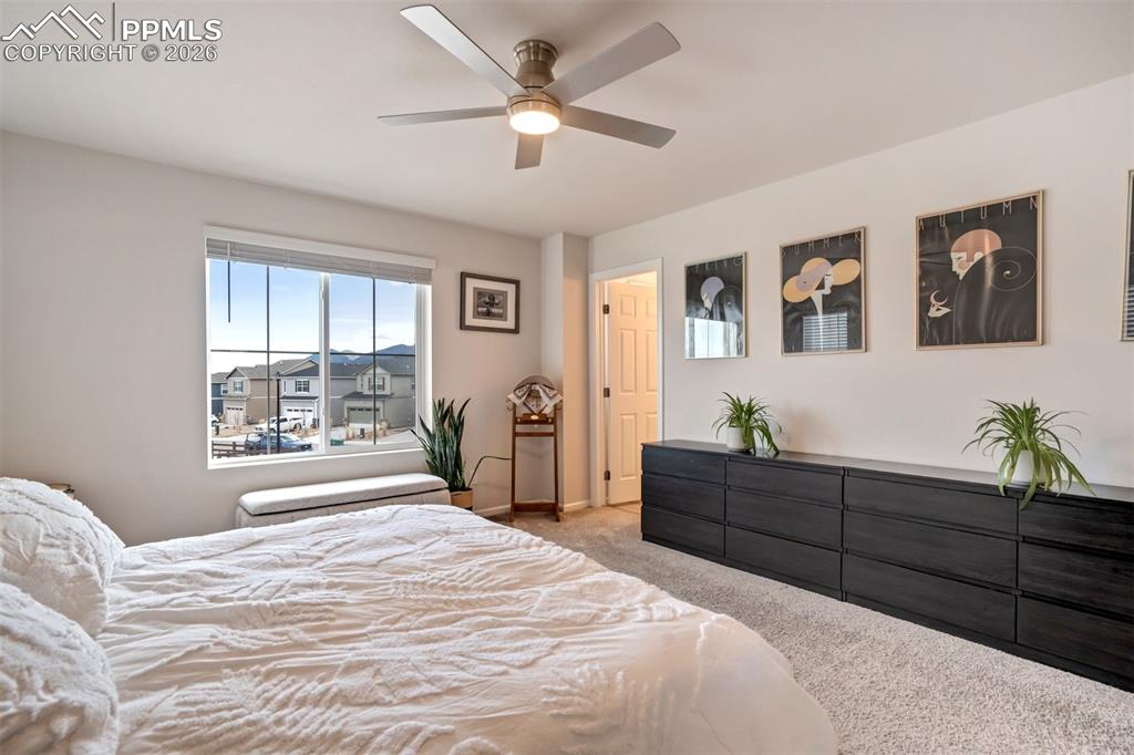 Image 24 of 50: Master Bedroom