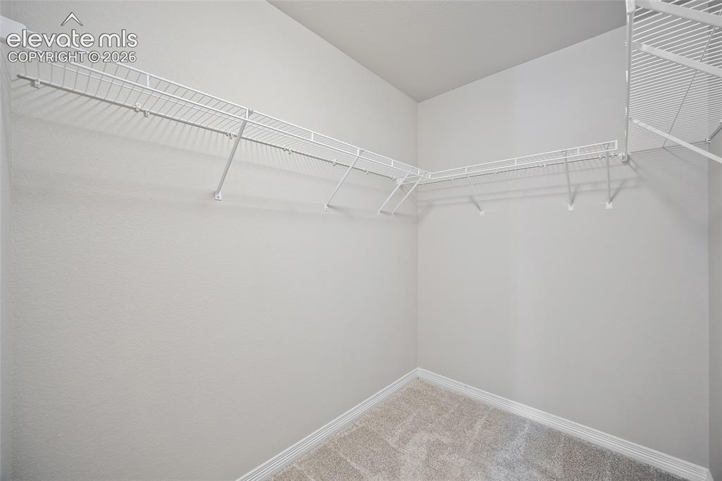 Image 23 of 49: Walk-in closet with carpet flooring and wire shelving