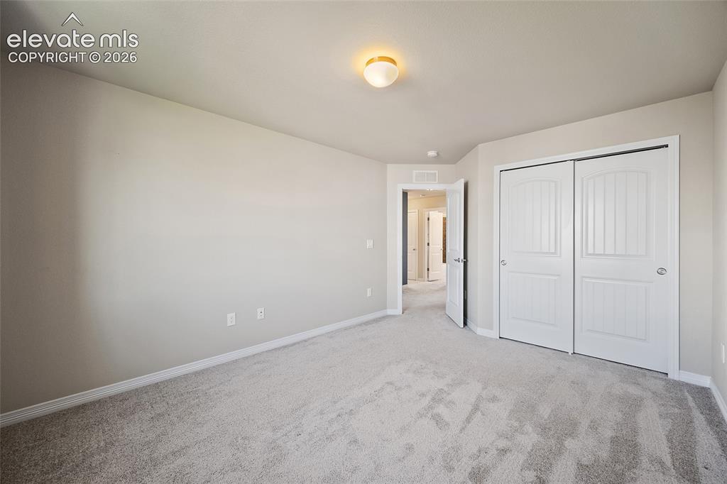 Image 34 of 49: Neutral tone wall finish with light gray carpeting, white trim, and a semi-