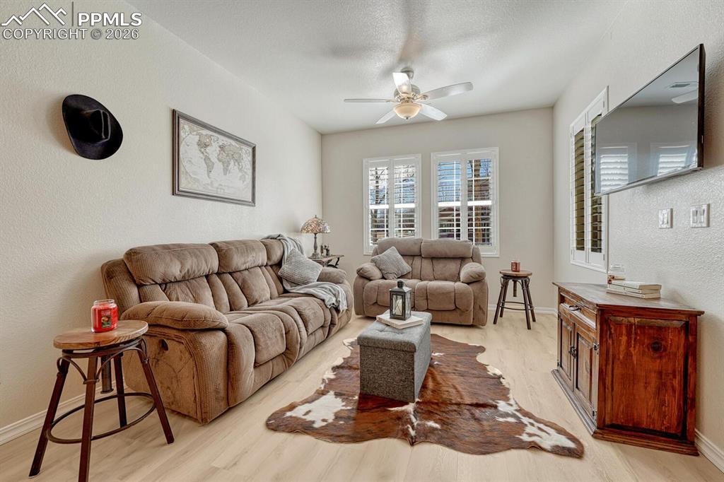 Image 11 of 50: Sunny living room