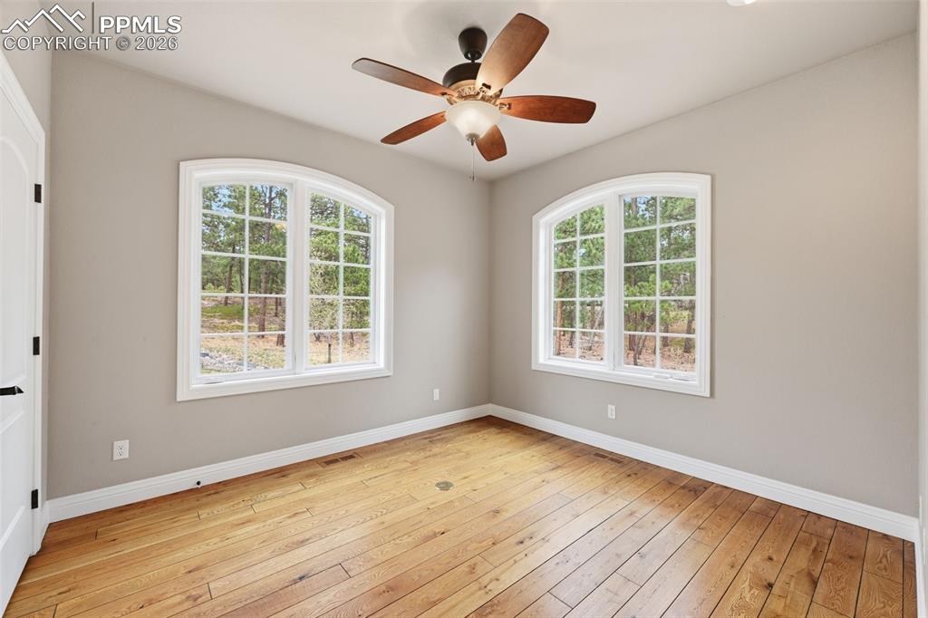 Image 34 of 50: Other