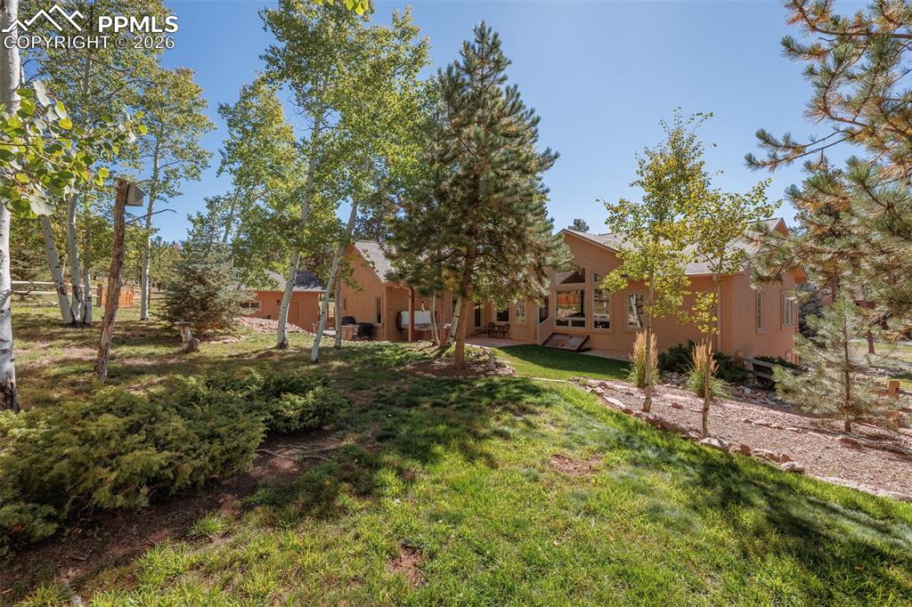 Image 31 of 38: Yard