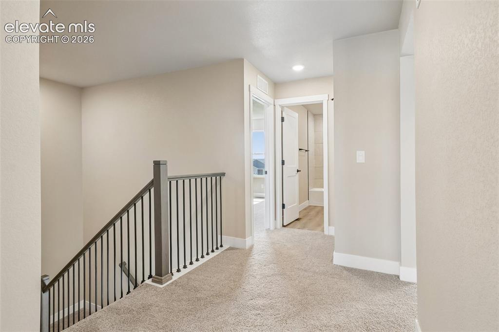 Image 29 of 50: Other