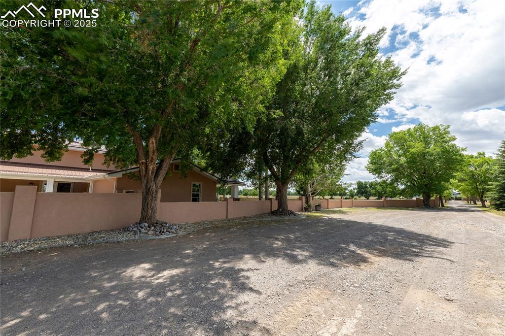 Image 15 of 50: Yard