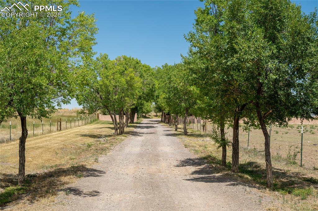 Image 16 of 50: Community