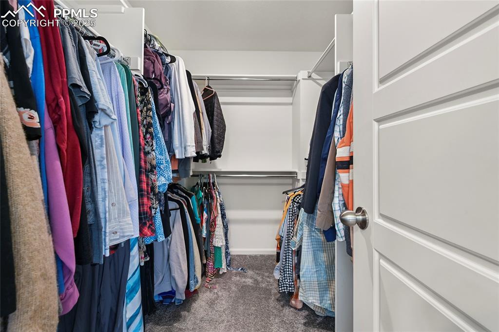 Image 19 of 28: Spacious closet featuring dark colored carpet