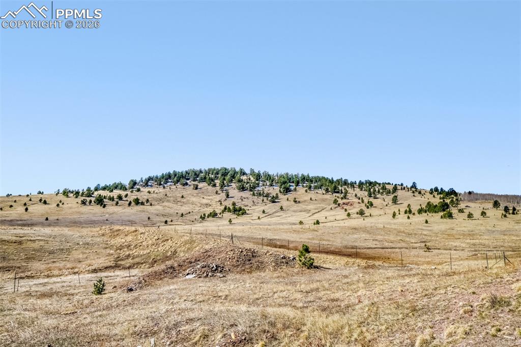 Image 7 of 34: Other