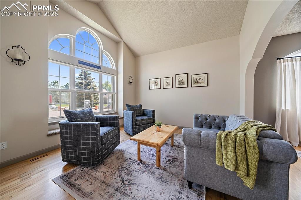 Image 7 of 47: Living area featuring arched walkways, plenty of natural light, lofted ceil