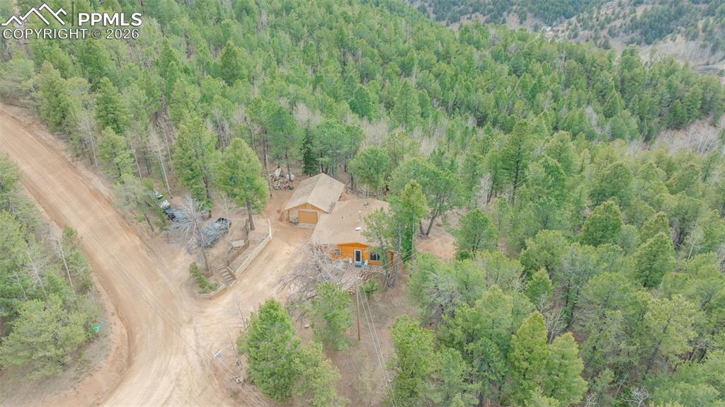 Image 31 of 41: Secluded property nestled among abundant evergreen trees