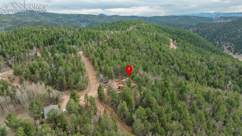 Image 32 of 41: Expansive wooded landscape featuring mature evergreen and deciduous trees,